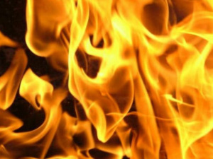 У Добропільському районі внаслідок пожежі загинула жінка