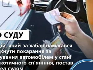 За керування автівкою «під кайфом» та спробу дати хабар поліцейським водій з Добропільського району заплатить штраф