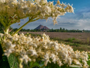 Зведена інформація про життєдіяльність Покровської громади станом на 8:00 6 липня