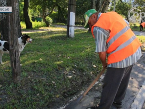 Попри війну: Покровськ підтримують у чистоті, але робочих рук не вистачає