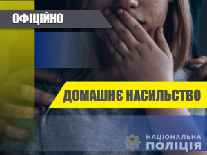 Домашнє насильство у Покровському районі: в поліції повідомили статистику