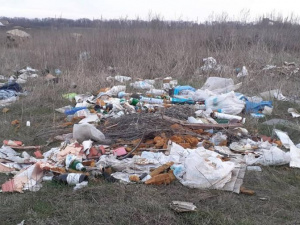Жителю Покровська доведеться розплатитись за викинуте сміття
