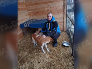 Врятовані з Донеччини: чотирилапі підопічні ГО «Білозерськ Енімалс» потребують кормів