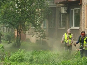 У Покровську комунальники активно борються з травою