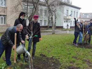 С места событий: высадка деревьев выпускниками Покровского педагогического колледжа
