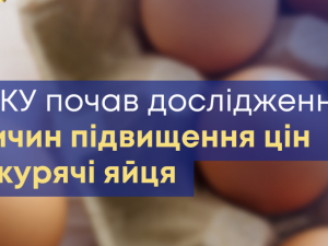 Антимонопольний комітет почав перевірку високих цін на яйця