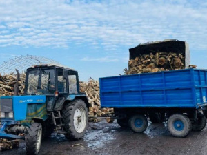 «єДрова» у Покровську: триває розвезення деревини на опалювальний період