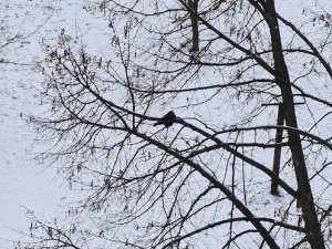 Перші вихідні 2026 року будуть з нестабільною погодою