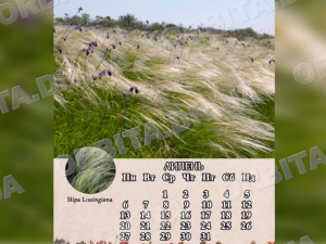 Донецький степ: «Старий рудник» презентував новий краєзнавчий календар на 2026 рік