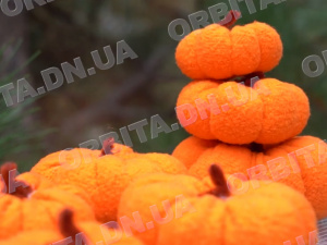 День гарбуза: студенти Покровського педколеджу створили осінні прикраси