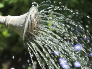 У Мирноградській громаді закликають раціонально використовувати воду 
