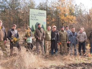 Покровский лесхоз высадил 5 тысяч дубов