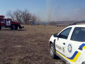 Правоохоронці Донеччини встановили підпалювача комишу