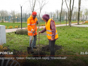 Оаза відпочинку: триває благоустрій парку «Ювілейний»