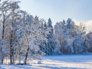 Синоптики попередили про суттєве похолодання в Україні наступного тижня
