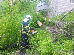 Сильний вітер наробив лиха: у Покровську на дорогу впало дерево, а в районі зірвало навіс