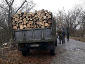 У Покровську поліцейські припинили незаконну «чистку лісу»