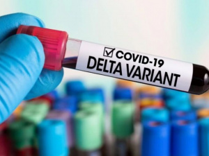 Могут ли вакцинированные от COVID заболеть штаммом «Дельта»: ответ Минздрава