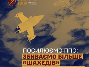 Над Покровськом спеціальні дрони перехоплюють «Шахеди», - 7 корпус ШР ДШВ