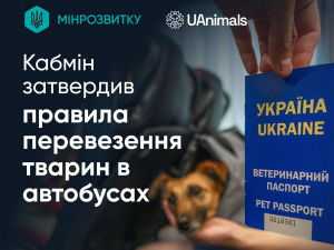 Кабмін затвердив правила перевезення тварин у міжміських та міжнародних в автобусах