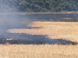 В Покровске и Мирнограде пик пожаров – горят поля и лесополосы