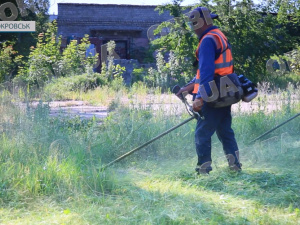 О п’ятій ранку ці люди вже працюють. Покровські двірники та косарі роблять місто охайним