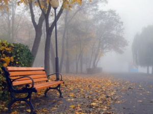 Погода в Покровске на сегодня, 2 ноября