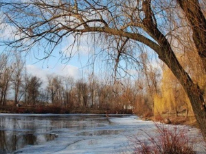 Погода в Покровске на сегодня, 18 декабря