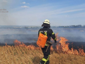 Протягом вихідних на Донеччині сталося 57 пожеж