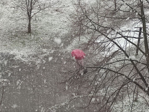 Від +18 до -5°С та перший мокрий сніг прогнозують в Україні на тижні 17-23 листопада