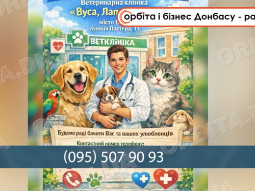 700 кілометрів від дому: новий старт покровської ветклініки «Вуса, лапи, хвіст» в Одесі