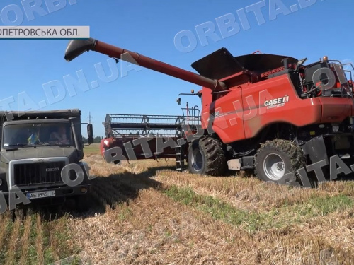Жнива, селекція і наука: як працює релокована Донецька дослідна агростанція