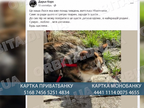 50 особливих тварин і щомісячні рахунки: притулок Дар’ї Корх потребує підтримки