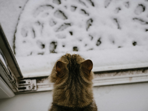 Прогноз погоди в Україні на тиждень 9-15 лютого: після чергового похолодання – підвищення температури