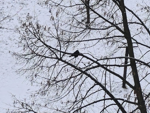 Перші вихідні 2026 року будуть з нестабільною погодою