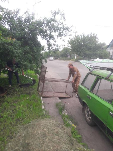 Инспекторы Муниципальной службы правопорядка спасали прохожих от агрессивной овчарки