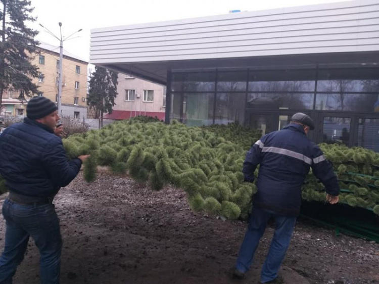Главная новогодняя елка доставлена в Покровск