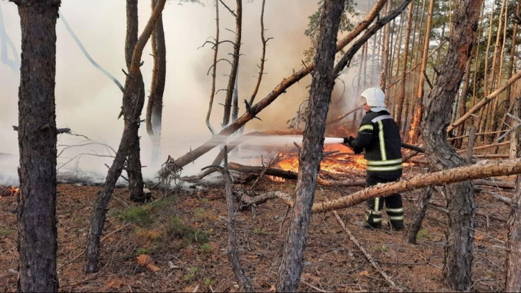 Масштабные пожары в Луганской области ликвидировали: понадобилась неделя