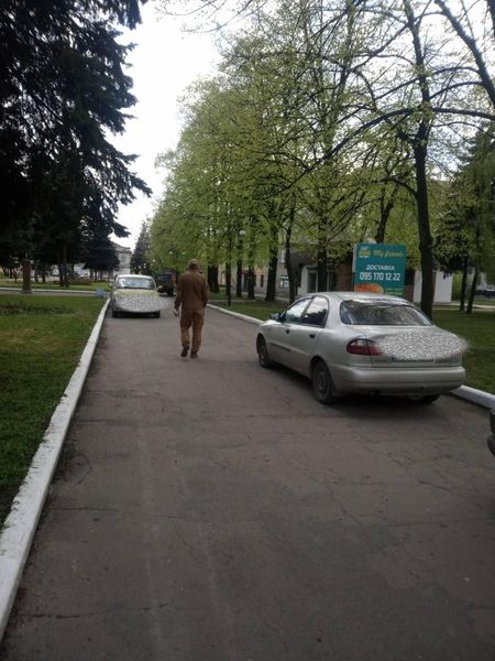 Інспектори МСП розчистили від автівок проспект Миру