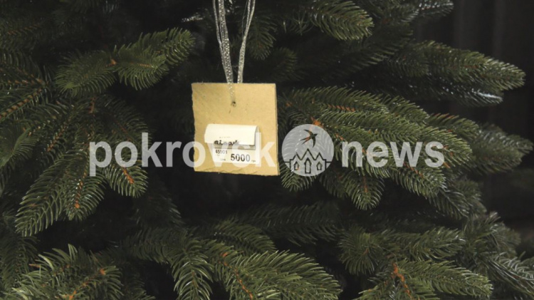 У Покровську вже можна придбати живі новорічні ялинки