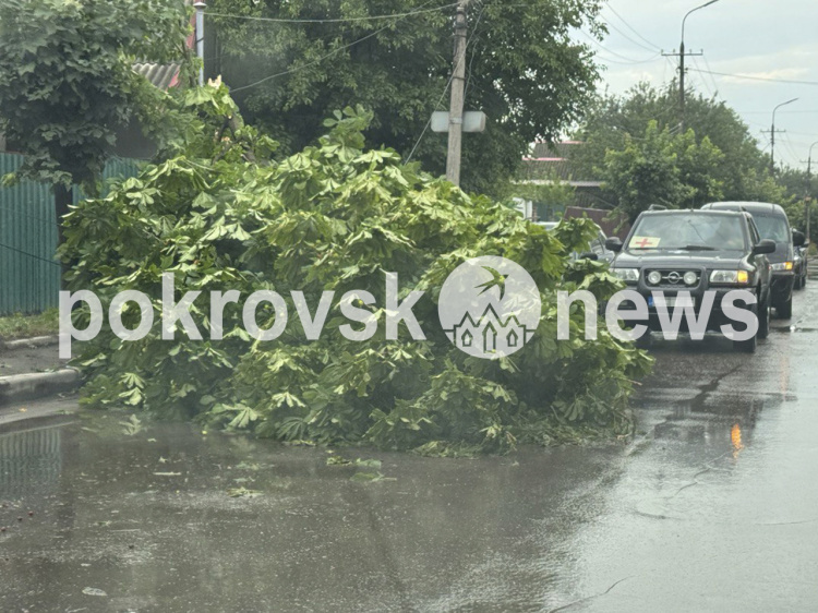 Випробування стихією: у Покровську оперативно почали усувати наслідки негоди (сюжет)