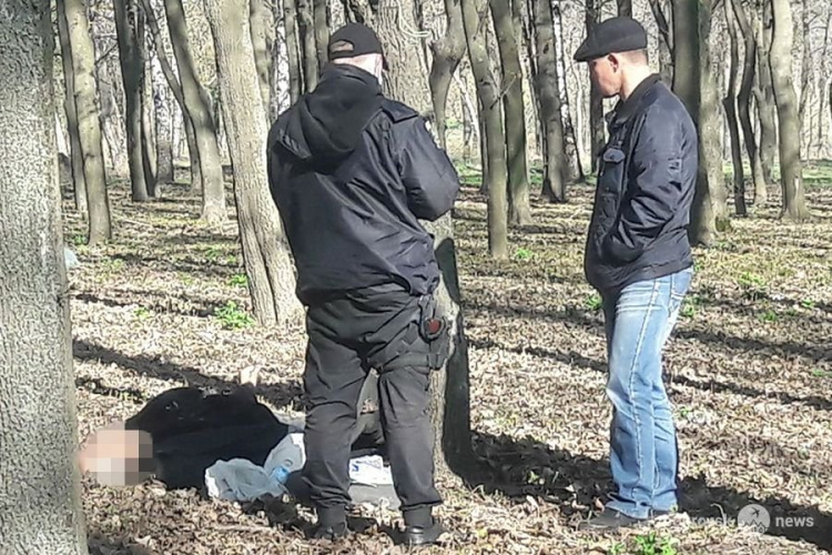 В парке «Юбилейный» обнаружен труп