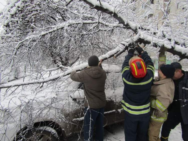 Рятувальники Добропілля допомогли водієві "визволити" автомобіль, на який впало дерево