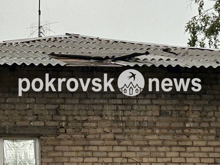 Негода пронеслася Покровськом: повалені дерева, багато районів без світла