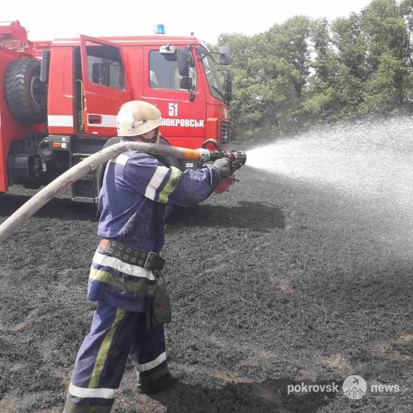 В экосистеме Покровского района произошел масштабный пожар