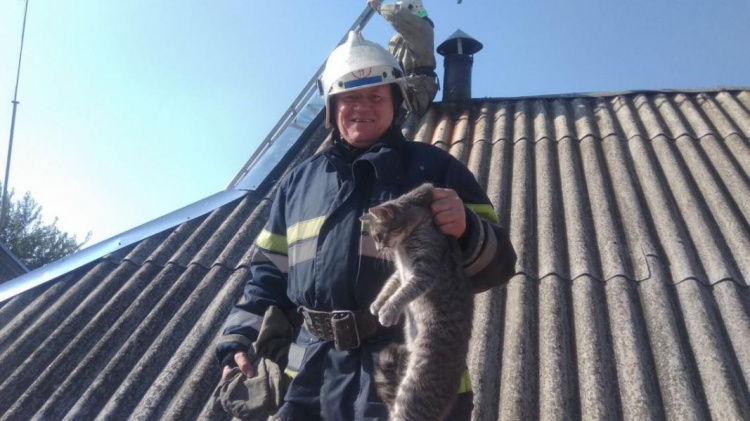 У Межовій рятувальники визволили з димоходу кошеня