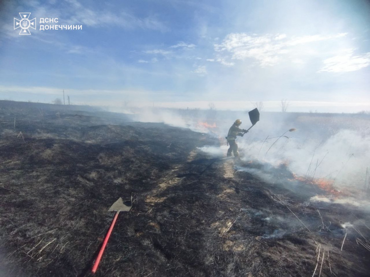 Не випалюйте! 12 пожеж в екосистемах загасили рятувальники Донеччини за добу