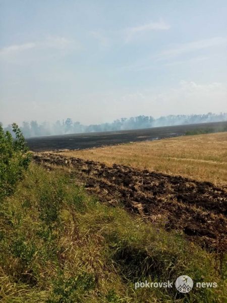 В выходные в Покровском районе произошло пять пожаров в полях