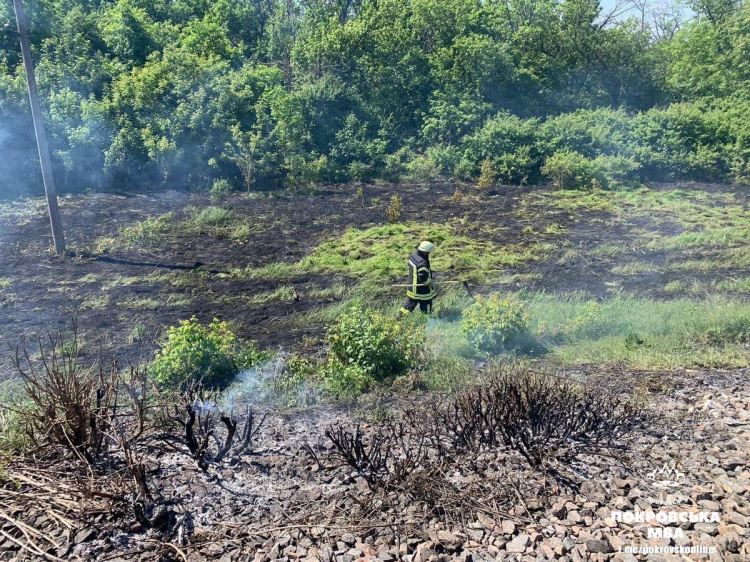 Добровільна пожежно-рятувальна команда Покровська ліквідувала займання в екосистемі