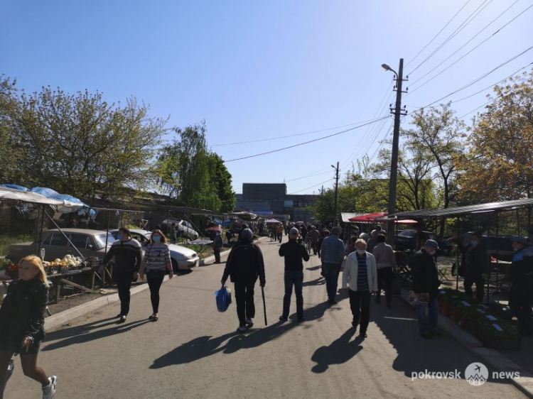 Как повлиял карантин на торговлю рассадой в Покровске